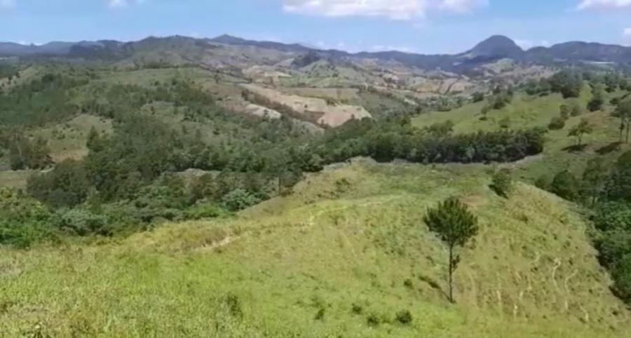 Foto Finca en Venta en Paso Bajito, Jarabacoa, La Vega - $ 48.330.000 - FIV20479 - BienesOnLine