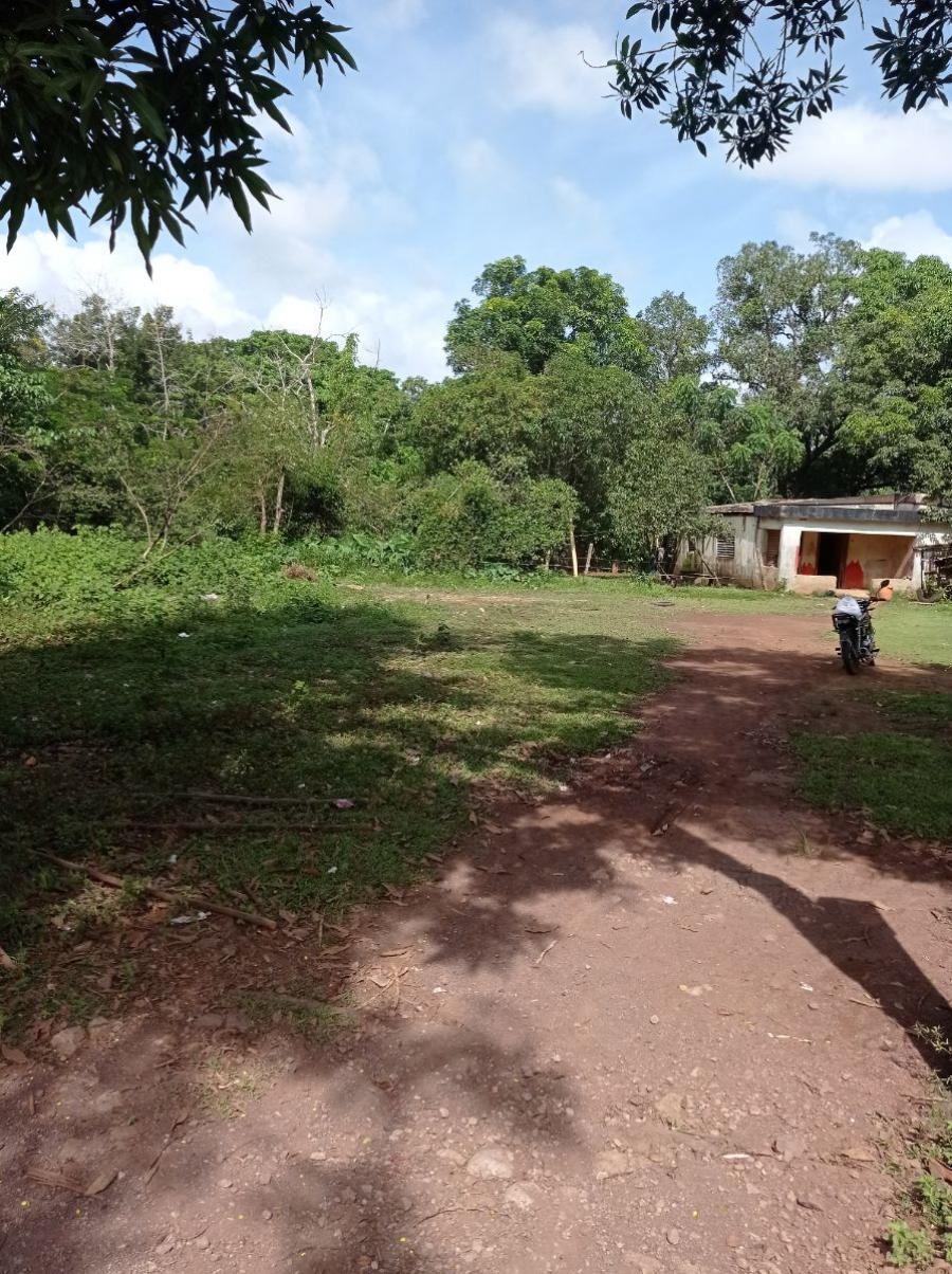 Foto Finca en Venta en Bayaguana, Bayaguana, Monte Plata - $ 16.500.000 - FIV24427 - BienesOnLine