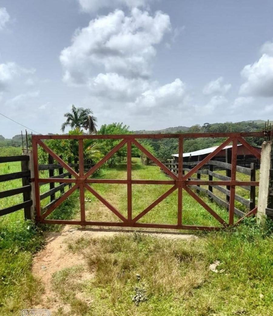 Foto Finca en Venta en Ro San Juan, Ro San Juan, Mara Trinidad Snchez - $ 14.000.000 - FIV16035 - BienesOnLine