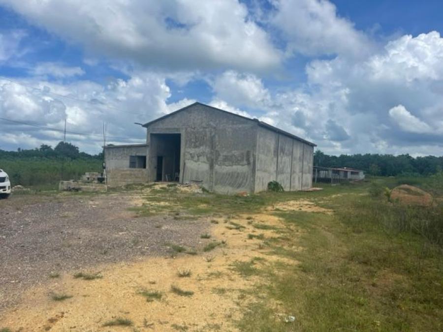 Foto Finca en Venta en batey carabela, batey carabela, Monte Plata - $ 9.700.000 - FIV33421 - BienesOnLine