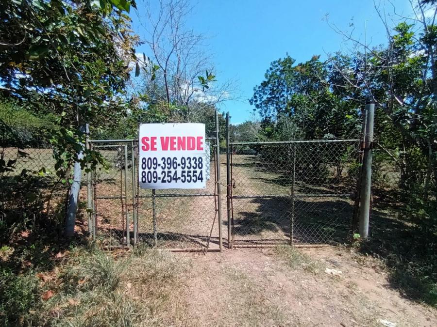 Foto Finca en Alquiler en Hacienda Estrella, Monte Plata, Monte Plata - $ 65.000.000 - FIA26824 - BienesOnLine