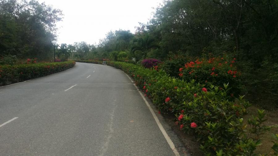 Home in Metric Way