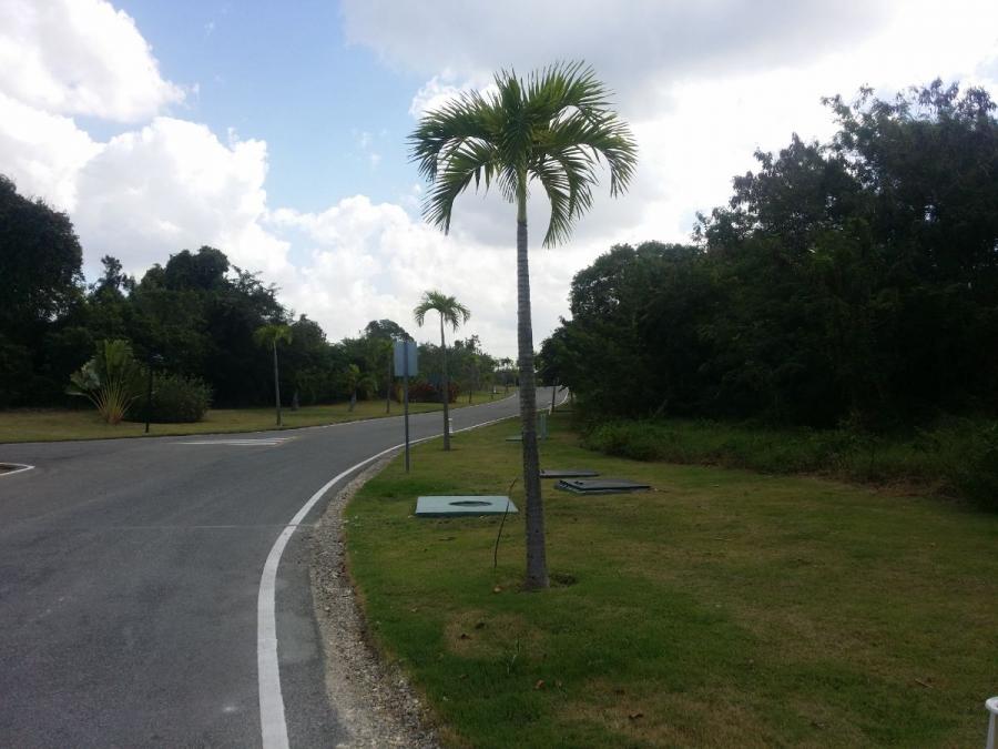 Home in Metric Way