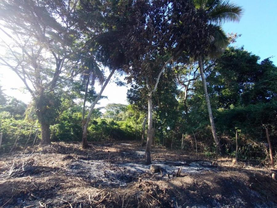 Foto Solar en Venta en Canastica, San Cristóbal - $ 650.000 - SOV81427 - BienesOnLine