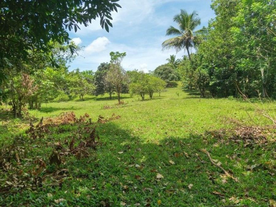 Foto Solar en Venta en Hato de Dama, Madre Vieja Norte, San Cristbal - $ 5.600.000 - SOV22140 - BienesOnLine