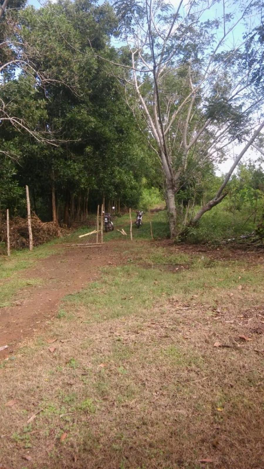 Foto Finca en Venta en Bayaguana, Bayaguana, Monte Plata - $ 25.000 - FIV24432 - BienesOnLine