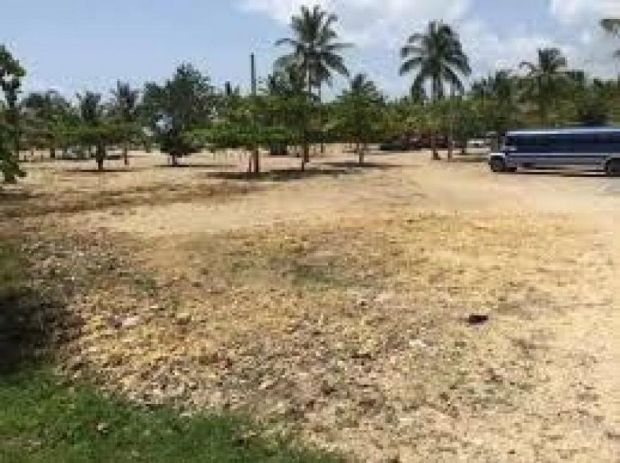 Foto Solar en Venta en Bavaro- Punta Cana, Salvalen de Higey, La Altagracia - U$D 25 - SOV18670 - BienesOnLine