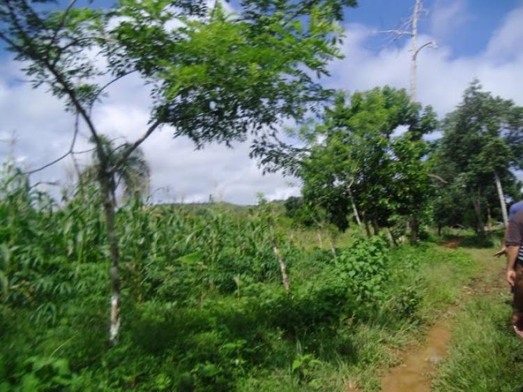 Foto Finca en Venta en Ro San Juan, Mara Trinidad Snchez - $ 8.000 - FIV929 - BienesOnLine