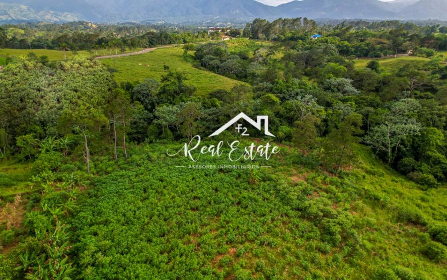 Foto Finca en Venta en Jarabacoa, La Vega - 10 hectareas - $ 900.000 - FIV15769 - BienesOnLine