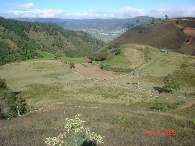 Foto Solar en Venta en Constanza, Constanza, La Vega - SOV19 - BienesOnLine