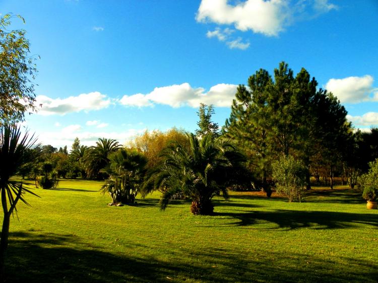 Foto Quinta en Venta en Colonia del Sacramento, Colonia - 6 hectareas - QUV3436 - BienesOnLine