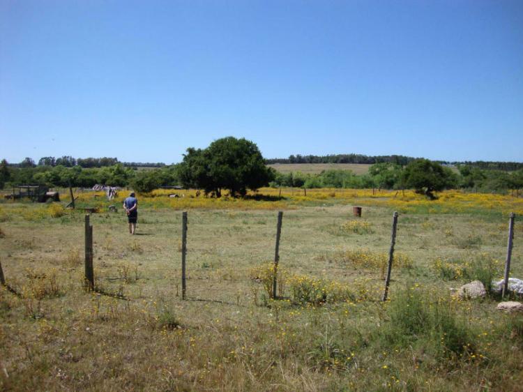 Foto Campo en Venta en San Carlos, Maldonado - $ 120.000 - CPV4635 - BienesOnLine