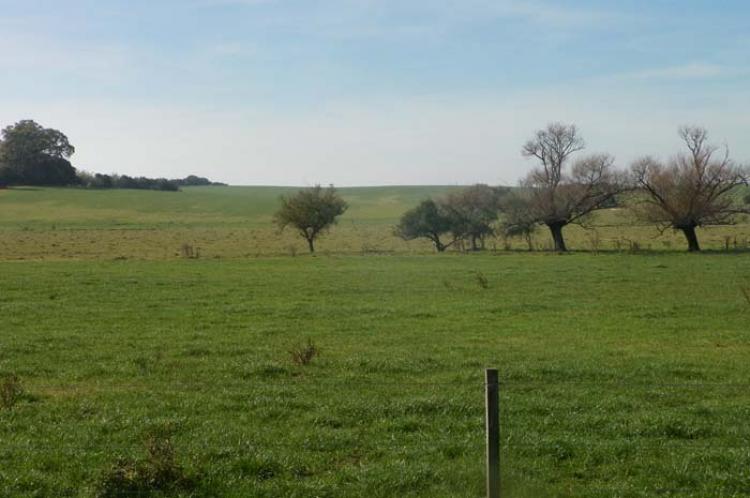 Foto Campo en Venta en Colonia del Sacramento, Colonia - $ 1.200.000 - CPV3619 - BienesOnLine