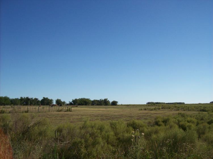 Foto Campo en Venta en Colonia del Sacramento, Colonia - U$D 1.008.000 - CPV3618 - BienesOnLine