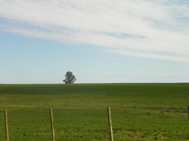 Foto Campo en Venta en Estanzuela, Colonia - U$D 2.682.750 - CPV3621 - BienesOnLine