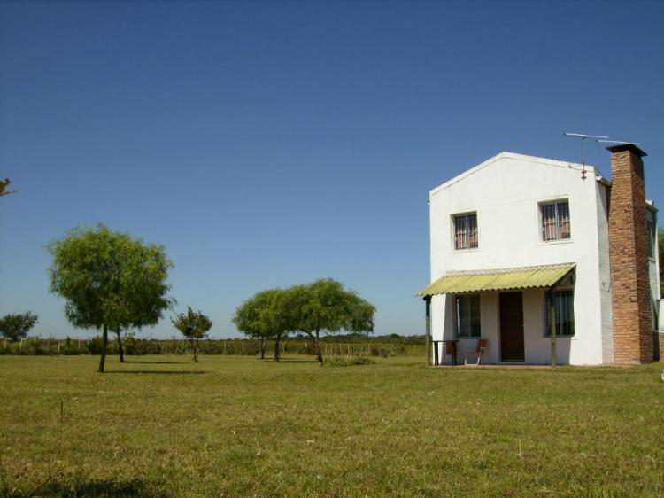 Foto Casa en Alquiler por temporada en Termas del Daymn, Salto - CAT6149 - BienesOnLine