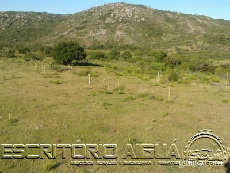 Foto Campo en Venta en Aigu, Maldonado - 13 hectareas - U$D 71.500 - CPV6451 - BienesOnLine