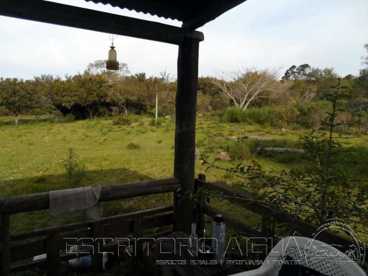 Foto Campo en Venta en Aigu, Maldonado - 19 hectareas - U$D 123.000 - CPV6452 - BienesOnLine