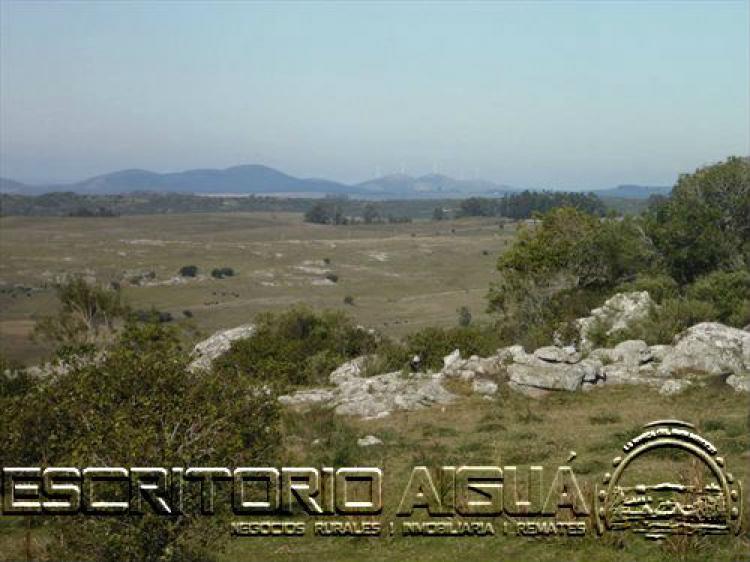 Foto Campo en Venta en San Carlos, Maldonado - 25 hectareas - U$D 68.000 - CPV5818 - BienesOnLine