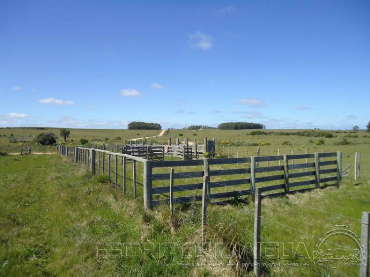 Foto Campo en Venta en Garzn, Maldonado - 57 hectareas - U$D 1.140.000 - CPV6469 - BienesOnLine