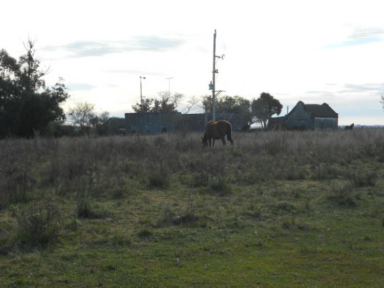 Foto Campo en Venta en Minas, Lavalleja - U$D 5.800 - CPV4883 - BienesOnLine