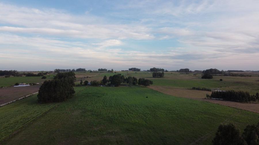 Foto Campo en Venta en Paso Antoln, Colonia - U$D 315.000 - CPV7431 - BienesOnLine