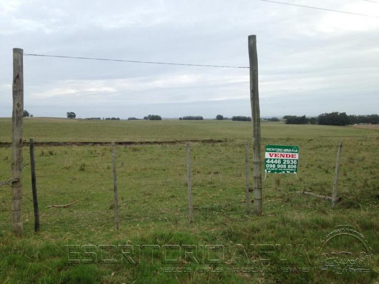 Foto Campo en Venta en , Maldonado - 22 hectareas - U$D 440.000 - CPV6142 - BienesOnLine