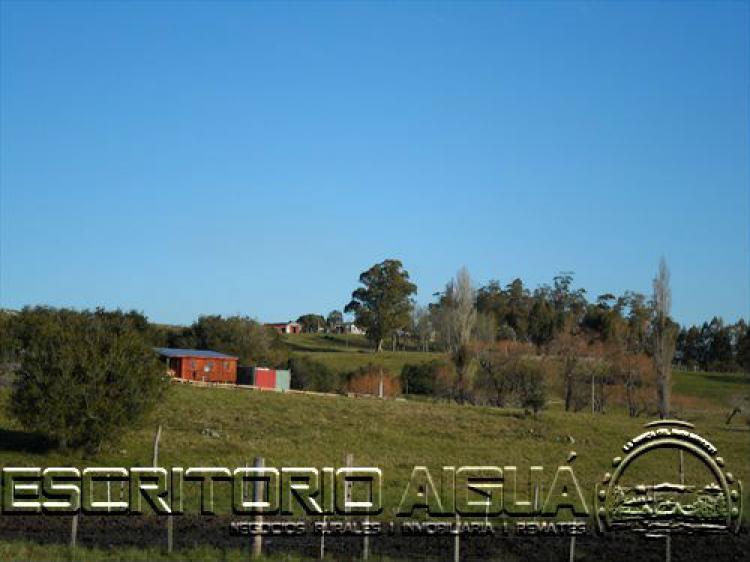 Foto Campo en Venta en Villa Serrana, Lavalleja - U$D 16.000 - CPV5783 - BienesOnLine