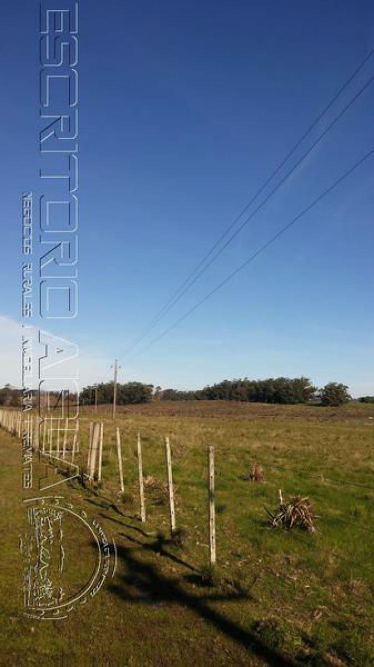 Foto Campo en Venta en Faro Jos Ignacio, Maldonado - 12 hectareas - U$D 330.000 - CPV6460 - BienesOnLine