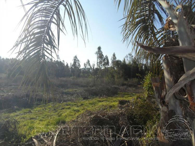 Foto Campo en Venta en Aigu, Maldonado - 6 hectareas - U$D 72.000 - CPV6453 - BienesOnLine