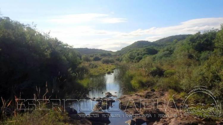 Foto Campo en Venta en Aigu, Maldonado - 5 hectareas - U$D 38.000 - CPV6458 - BienesOnLine