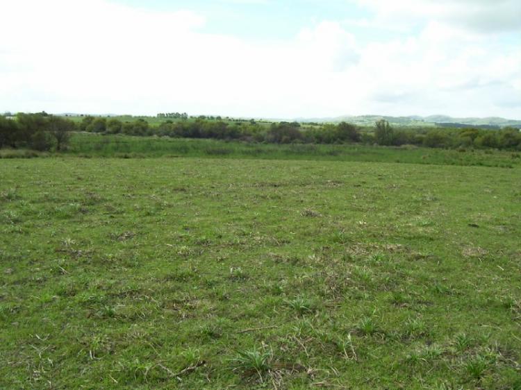 Foto Campo en Venta en Pueblo Edn, Edn, Maldonado - 83 hectareas - U$D 581.000 - CPV4345 - BienesOnLine