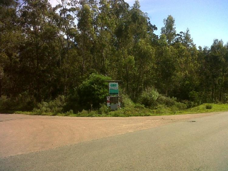 Home in Metric Way
