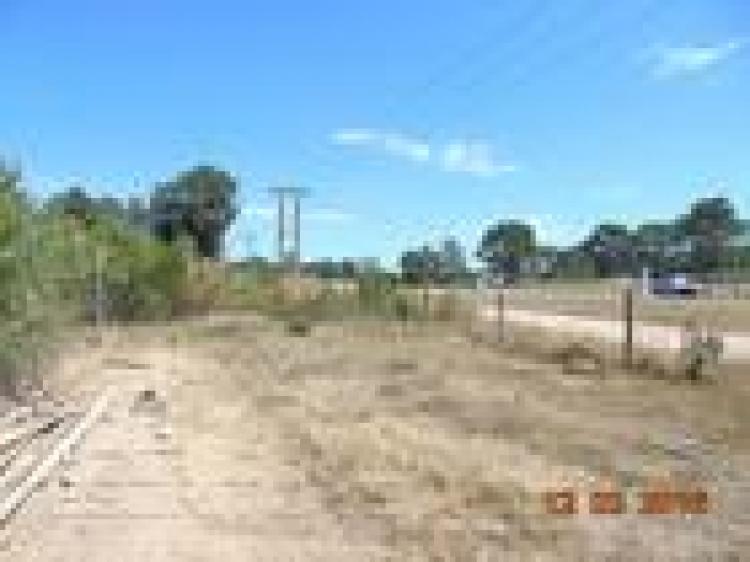 Foto Terreno en Venta en Punta Ballena, Maldonado - U$D 129.000 - TEV5983 - BienesOnLine