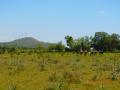 Campo en Venta en  San Carlos