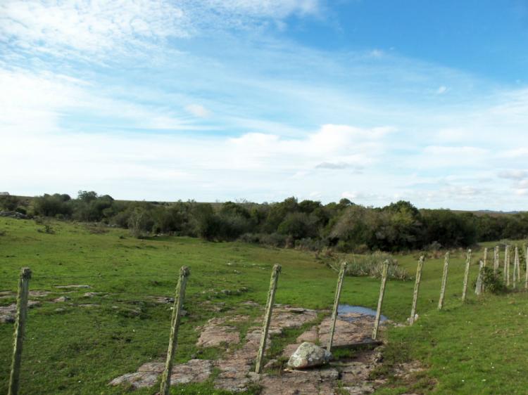 Foto Campo en Venta en Garzn, Maldonado - 10 hectareas - U$D 120.000 - CPV6202 - BienesOnLine