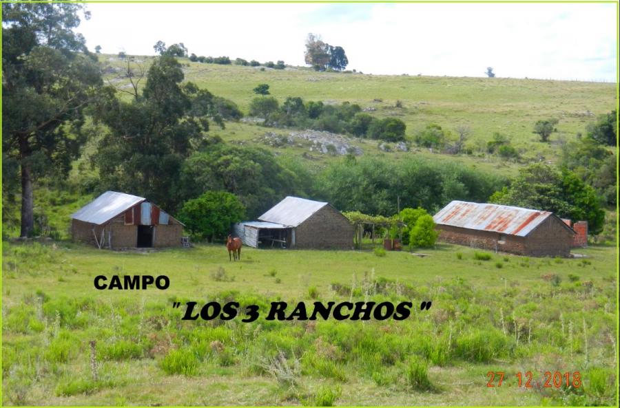 Foto Campo en Venta en San Carlos, Maldonado - U$D 250.000 - CPV7079 - BienesOnLine