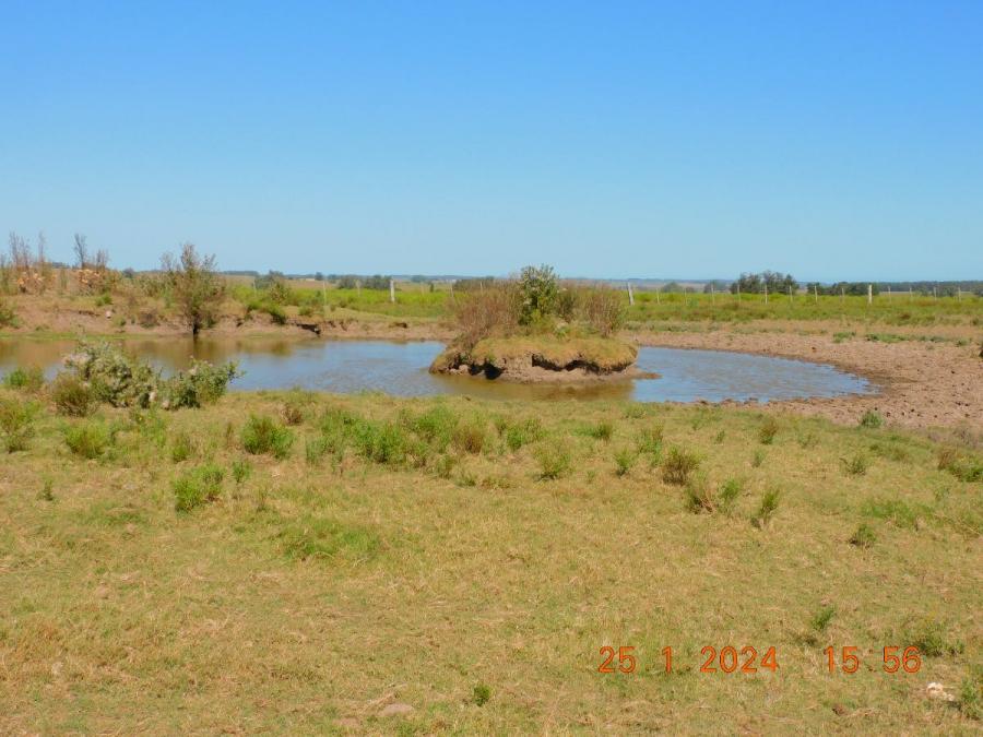 Campo en Venta en Maldonado