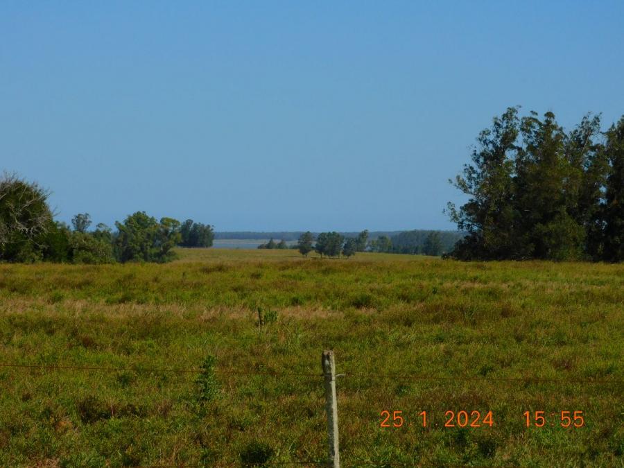 Foto Campo en Venta en Punta del Este, Maldonado - U$D 90.000 - CPV7733 - BienesOnLine