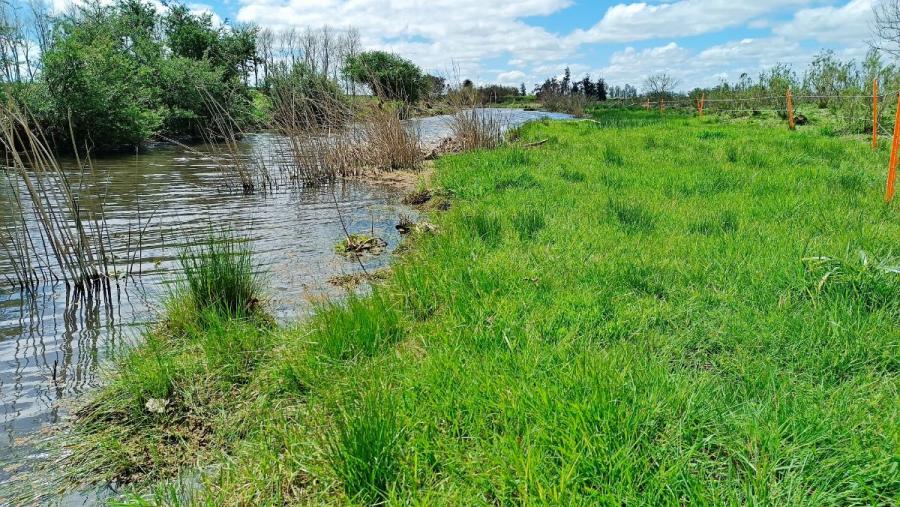 Campo en Venta en Totoral del