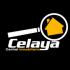 Celaya Central Inmobiliaria