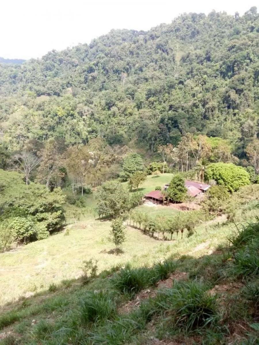 Granja en Venta en Perez Zeledon, Costa Rica, Centroamérica UD 90.