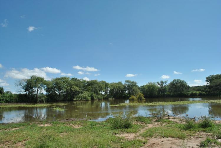 Terreno en Venta en Abbott, Texas 100 hectareas UD 700.000