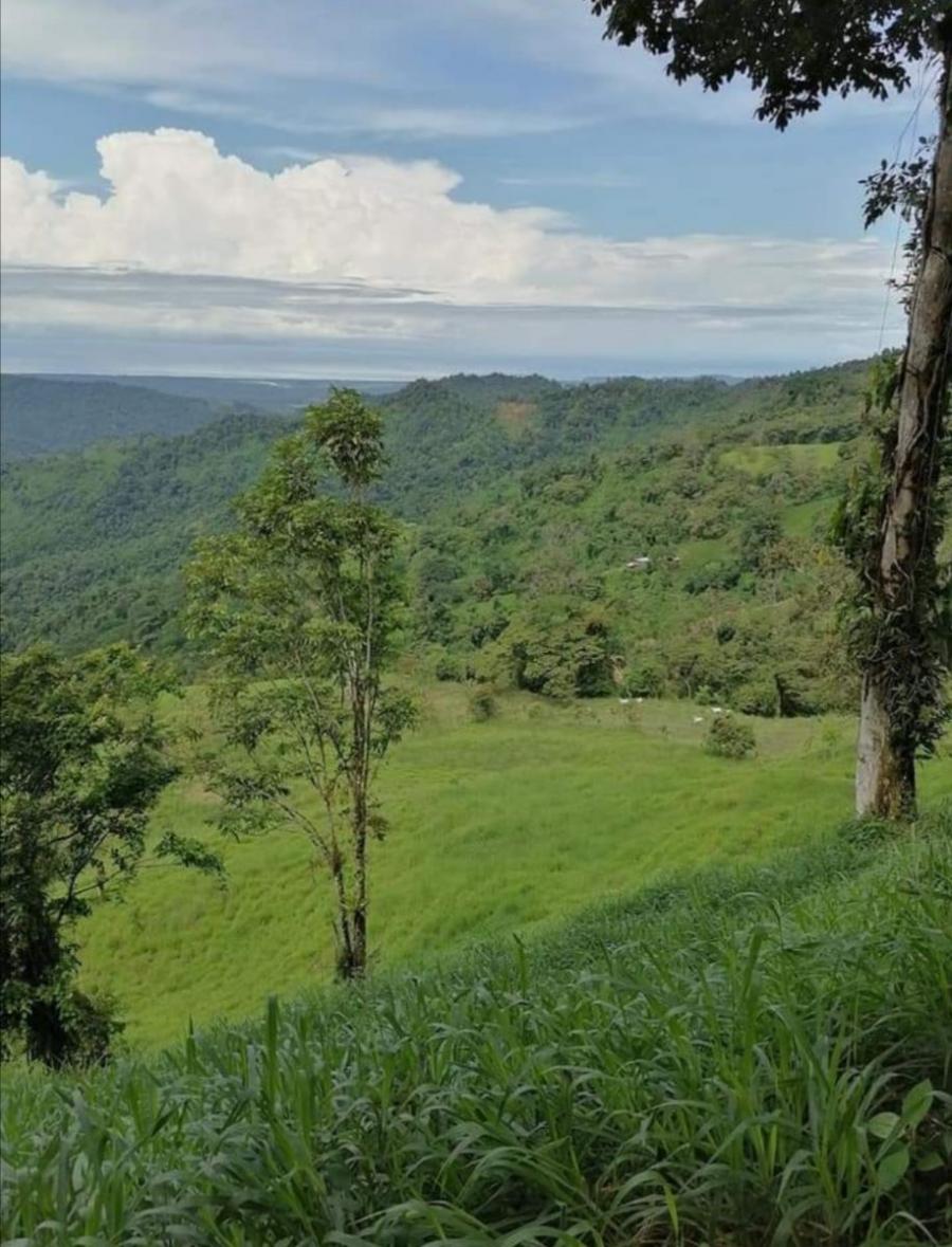 Foto Terreno en Venta en Naranjito, Costa Rica, Centroamrica - U$D 350.000 - TEV3056 - BienesOnLine