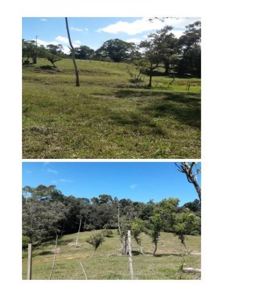 Foto Terreno en Venta en Paraiso, sixaola, Centroamrica - U$D 1.400.000 - TEV2963 - BienesOnLine