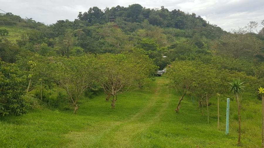 Foto Terreno en Venta en San Ramon, Costa Rica, -, Centroamrica - U$D 88.000 - TEV3132 - BienesOnLine