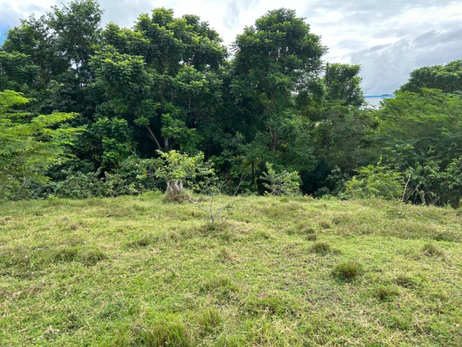 Foto Terreno en Venta en Munoz, Puerto Plata, Republica Dominicana, Centroamrica - TEV10661 - BienesOnLine