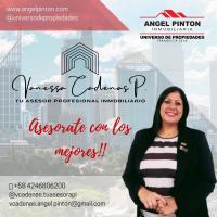 ANGEL PINTON INMOBILIARIA