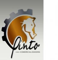 Logo PINTO