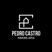 PEDRO CASTRO INMOBILIARIA